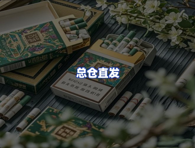 专业团队